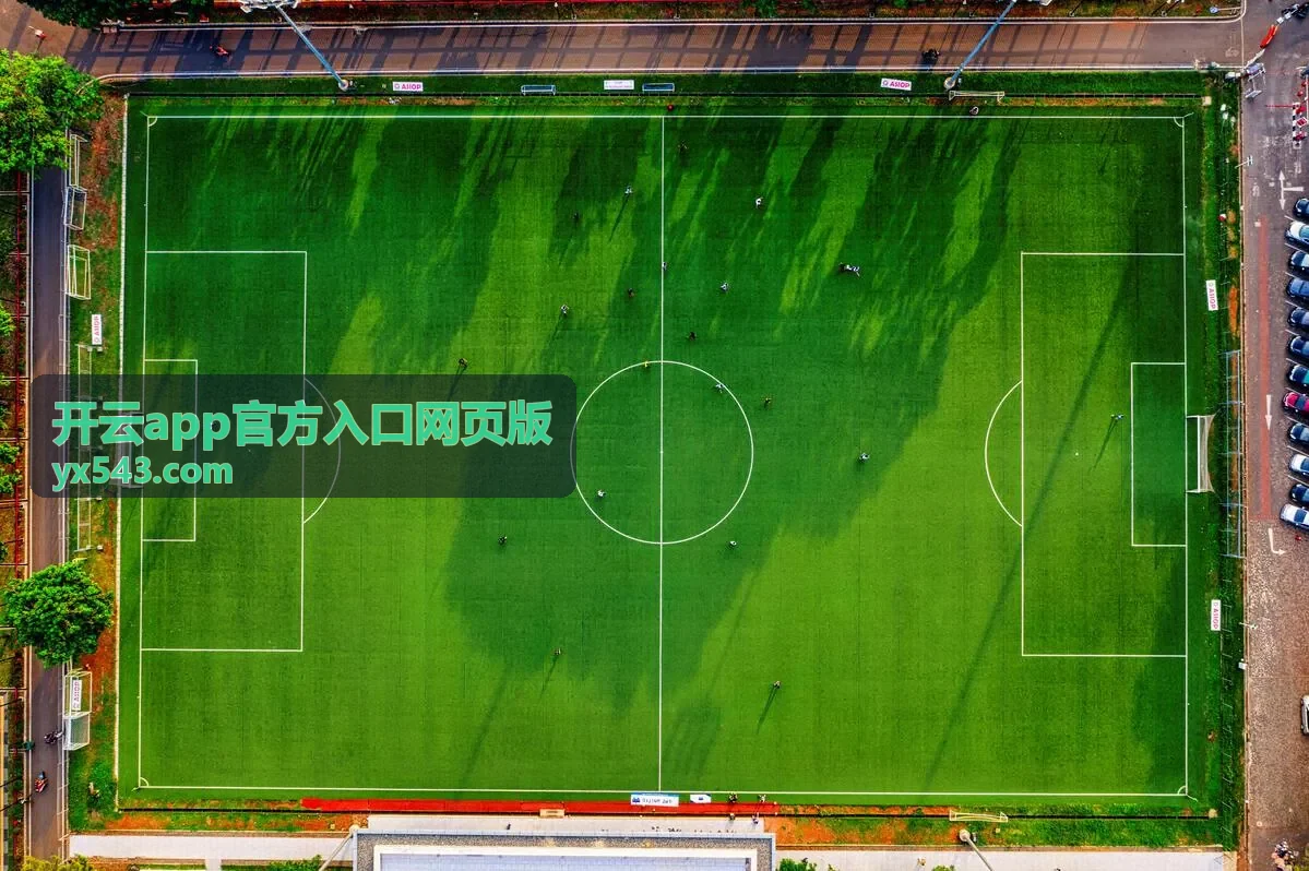 开云app官方入口网页版入口核对与版本对照示意背景