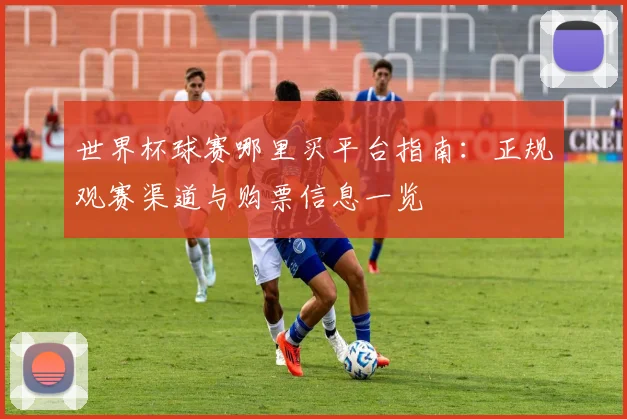 世界杯球赛哪里买平台指南:正规观赛渠道与购票信息一览