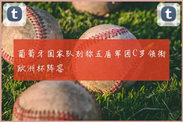 葡萄牙国家队别称五盾军团C罗领衔欧洲杯阵容