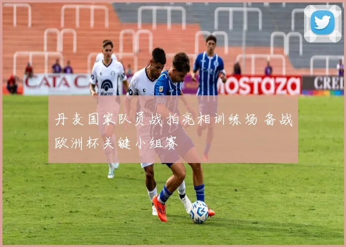 丹麦国家队员战拍亮相训练场 备战欧洲杯关键小组赛