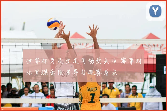 世界杯男足女足同场受关注 赛事对比呈现竞技差异与观赛看点